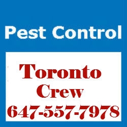 Pest Control Toronto Crew